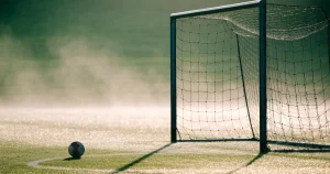 Ligue 1 Wetten 2026: Anbieter, Quoten und was sie kosten